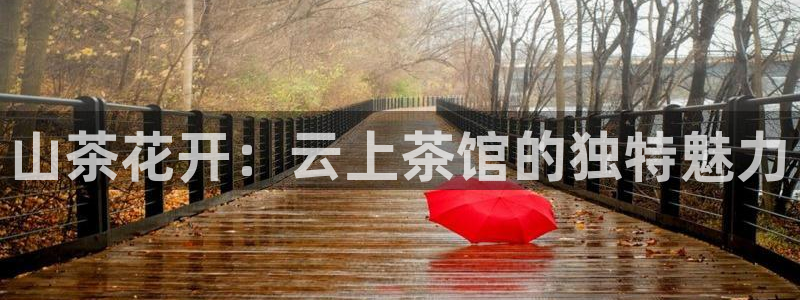 彩名堂幸运飞船计划