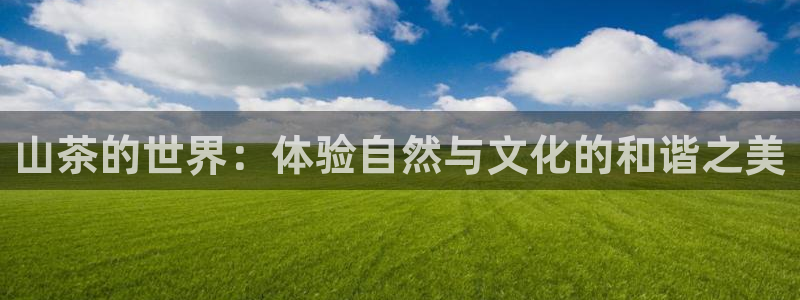 彩名堂平台