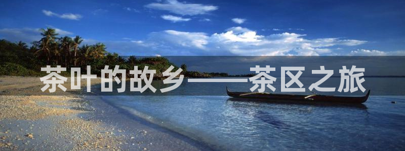 彩名堂全天计划