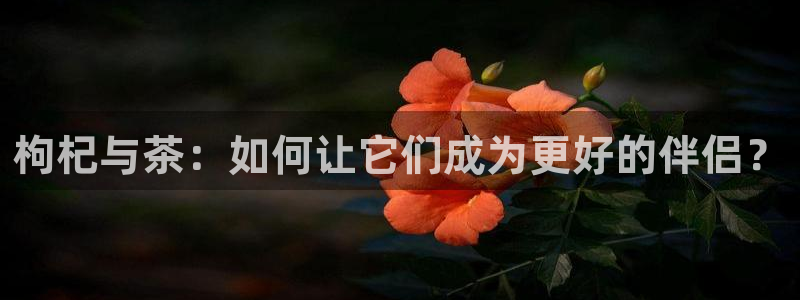 彩名堂一直不出结果怎么回事呀