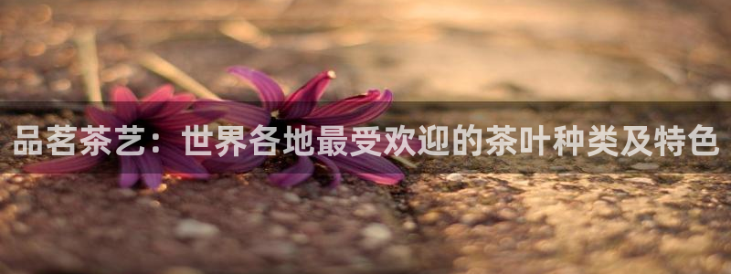 彩名堂官网计划怎么下载到手机