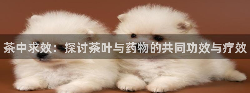 下载苹果手机版彩名堂