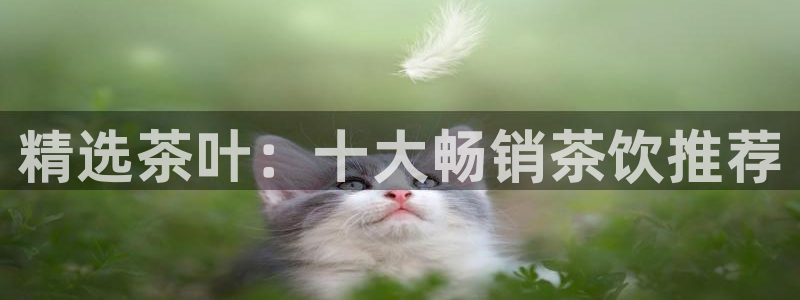 彩名堂免费计划5.0使用方法