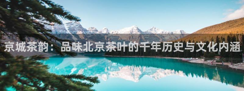 彩名堂好用还是千里马好用