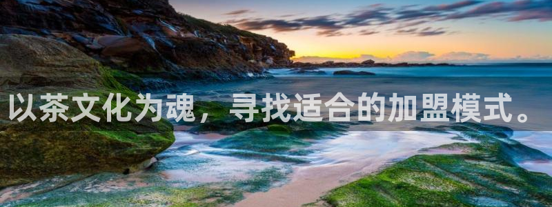 彩名堂怎么打不开了