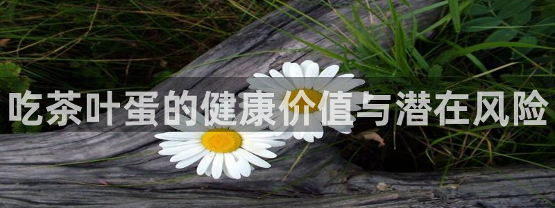 彩名堂在线下载