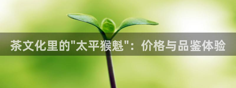 彩名堂怎么样