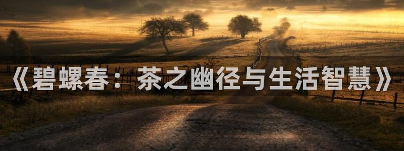 下载彩名堂预测计划软件安装