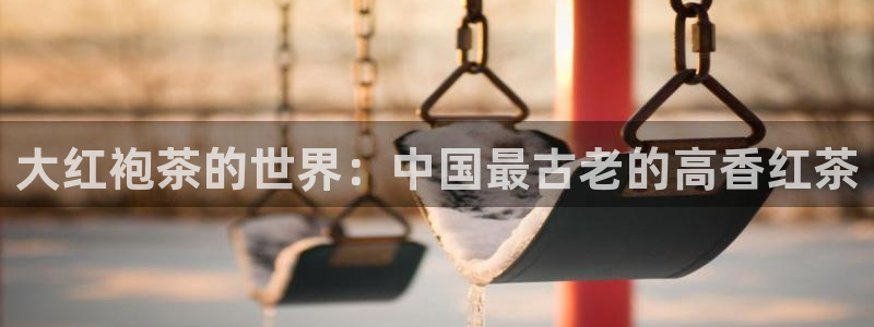 彩名堂免费计划官网5.0.0