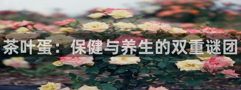 彩名堂免费计划下载