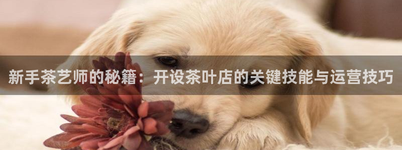彩名堂客服电话号码