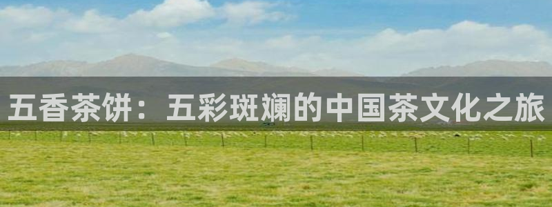 彩名堂手机客户端官网