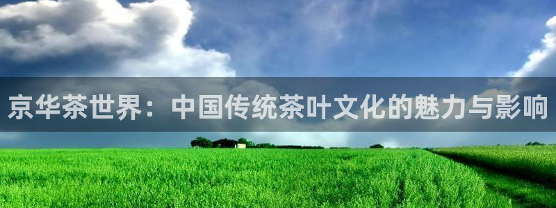 彩名堂全天计划