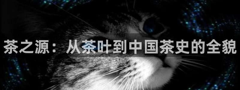 彩名堂预测网站