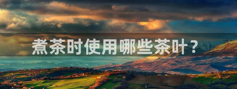 彩名堂用不了
