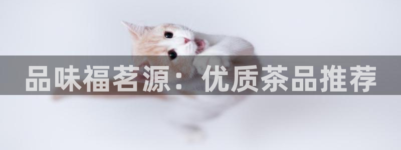下载彩名堂预测计划软件安卓