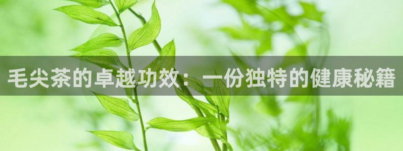 彩名堂计划怎么看