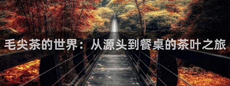 正规彩名堂官网计划01