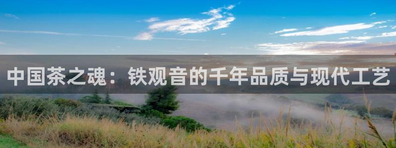 彩名堂一直不出结果怎么回事呢