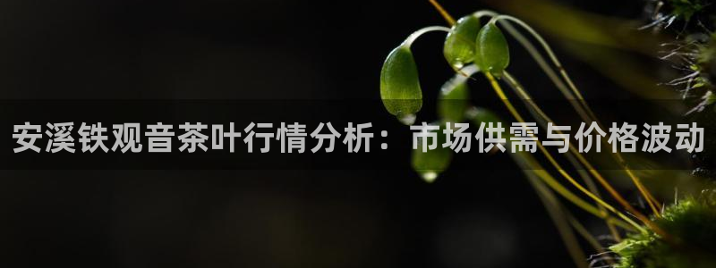 彩名堂怎么跟计划才不连挂呢