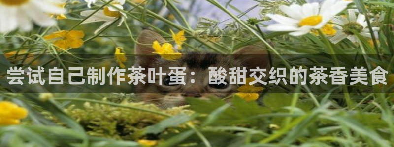 彩名堂彩