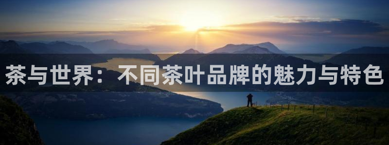 彩名堂首页