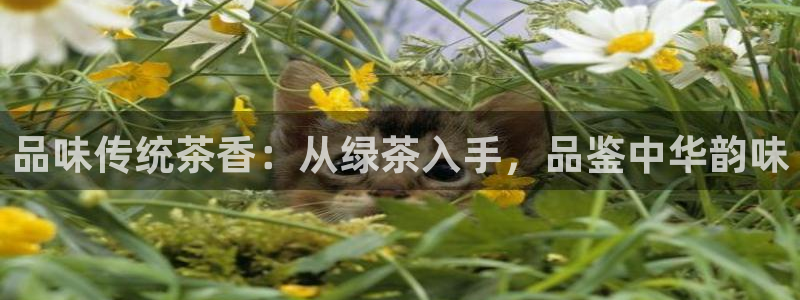 彩名堂安卓客户端官网
