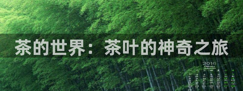 彩名堂改名稻草人了吗知乎