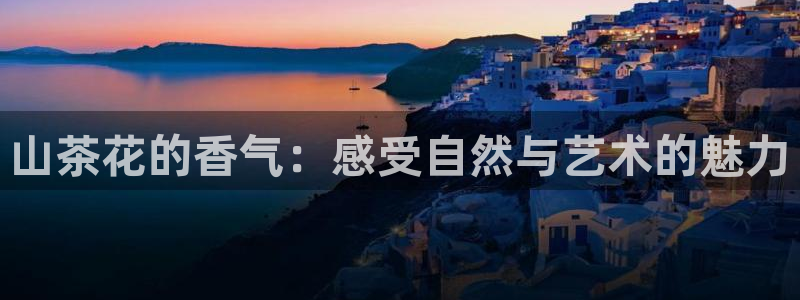 彩名堂计划怎么出的