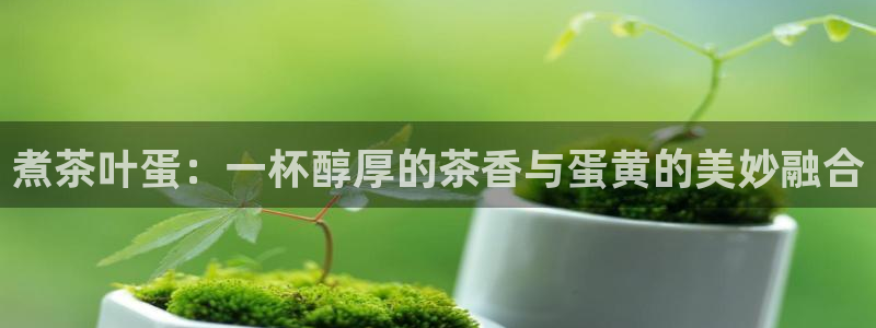彩名堂怎么买准确率高