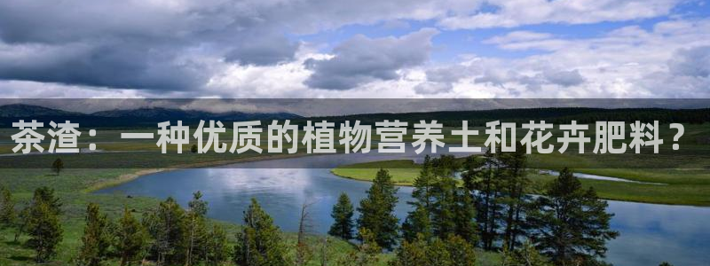 彩名堂为什么突然不能用了