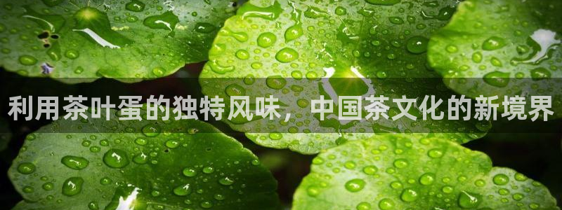 彩名堂最新免费计划官网