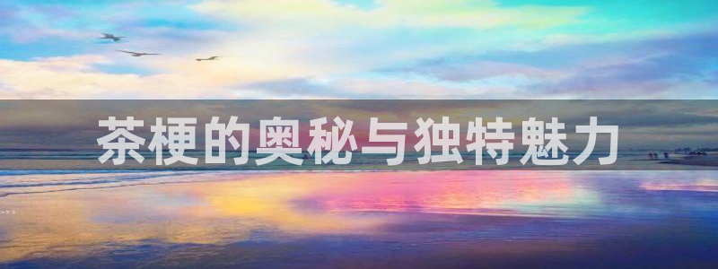 彩名堂官网客户端