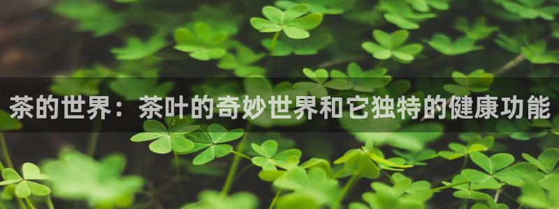 彩名堂最新预测3d
