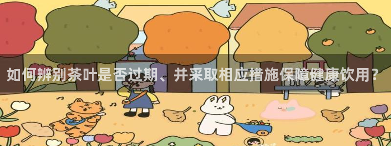 彩名堂全天计划