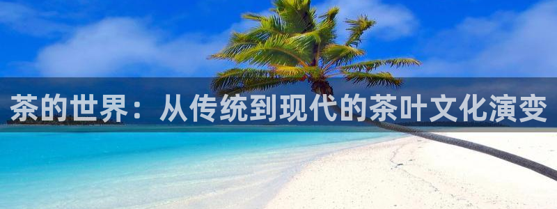 彩名堂双彩网