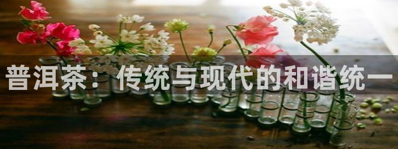 下载彩名堂预测计划软件