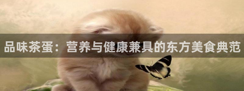 彩名堂预测免费计划怎么看的