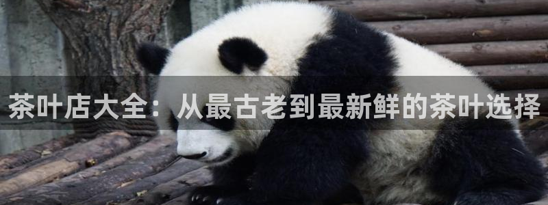 彩名堂计划怎么跟不挂