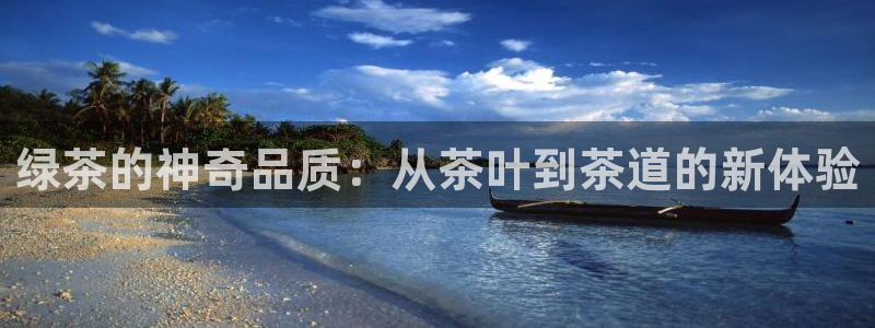 彩名堂全天计划