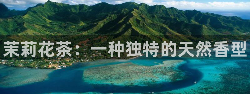 彩名堂975新版本