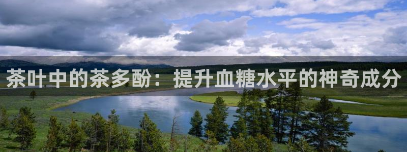 老版本彩名堂计划软件