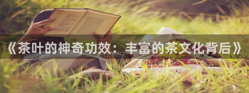 彩名堂计划官方下载网址