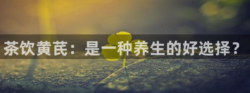 彩名堂好用还是千里马好用