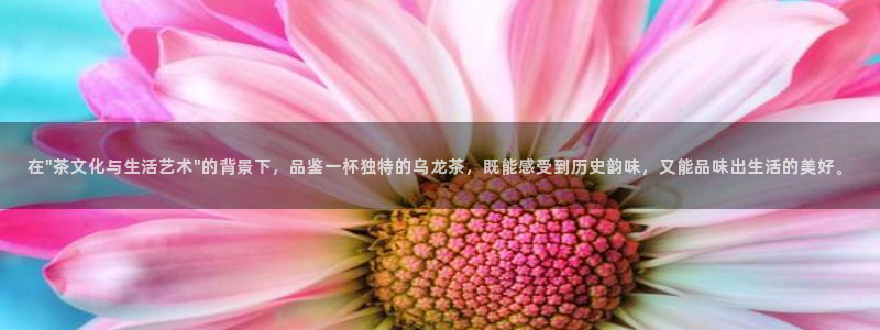 彩名堂客户端官网