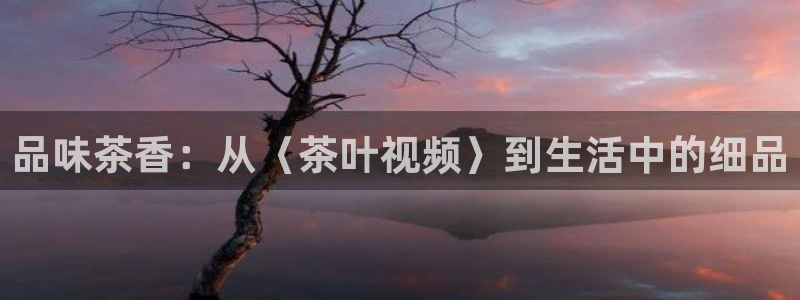 彩名堂预测免费计划
