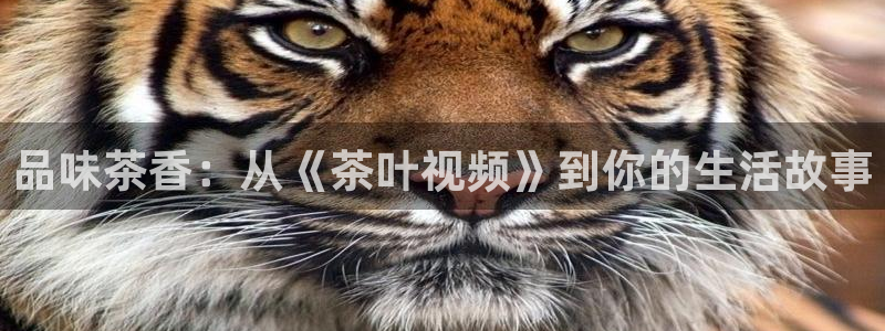 彩名堂官网2