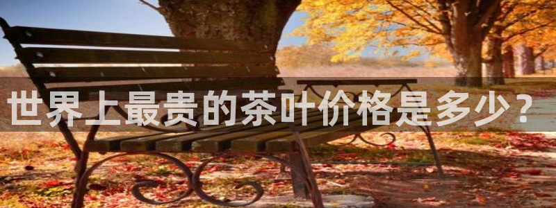 彩名堂免费计划官网5.0app