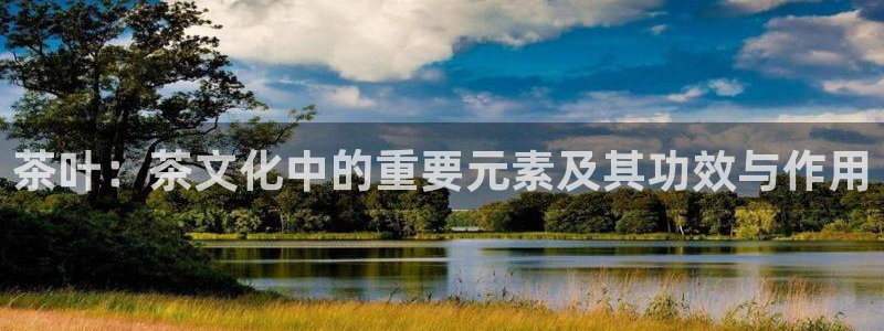 彩名堂为什么打不开