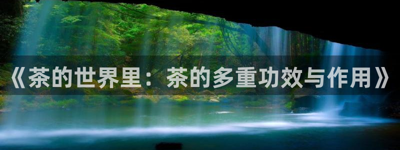 彩名堂官网在线计划怎么不更新了